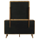 Robyn Dresser with Mirror