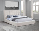 Dreux Panel Platform Bed